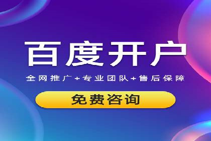 网络推广与竞价优化成功案例